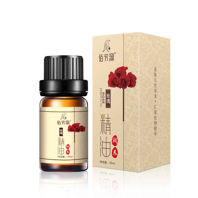 Argy Wormwood Body Massage Organic Essential Oil