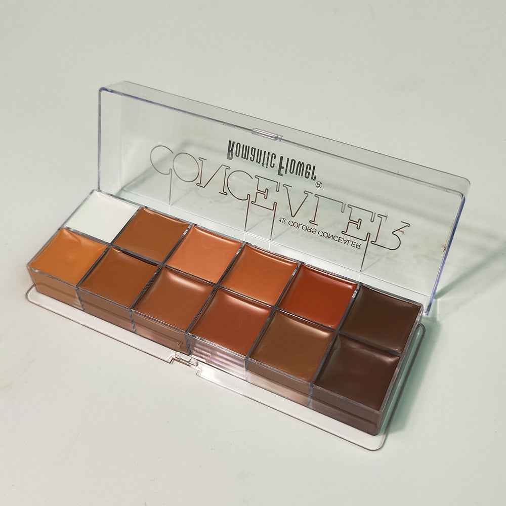 12 Colors Concealer Dark Skin Waterproof Full Coverage Foundation