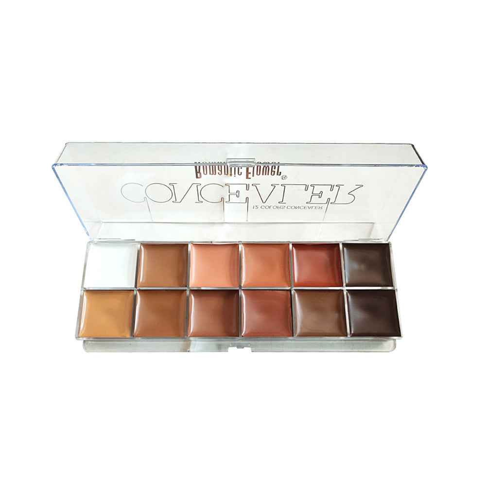 12 Colors Concealer Dark Skin Waterproof Full Coverage Foundation