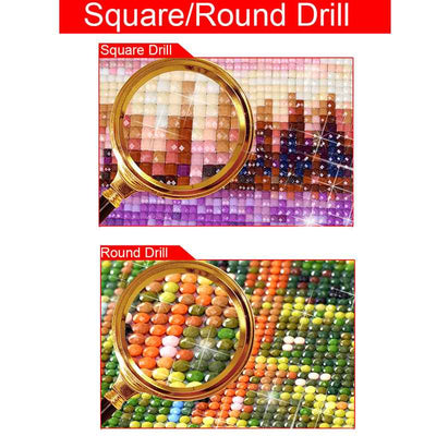 Resin Full DIY Diamond Painting Embroidery Gifts