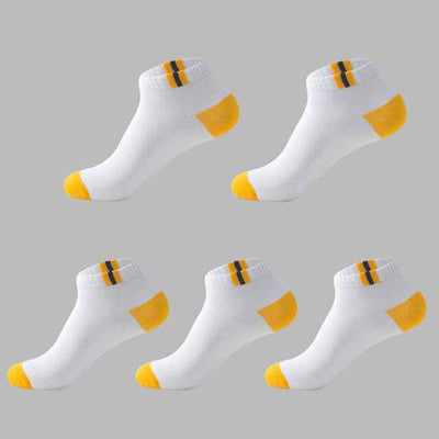 Low tube boxed men's socks