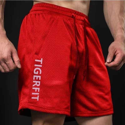 Sports Quick-drying Breathable Mesh Shorts Men's Casual Loose