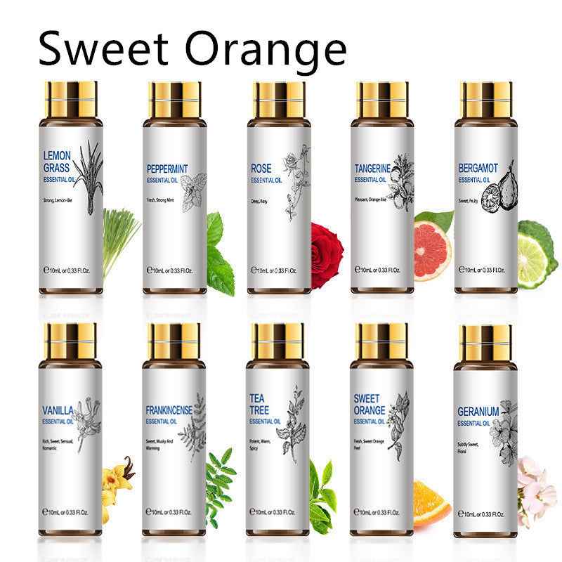 Plant Aromatherapy Essential Oil 10ml Lavender Rose Tea Tree