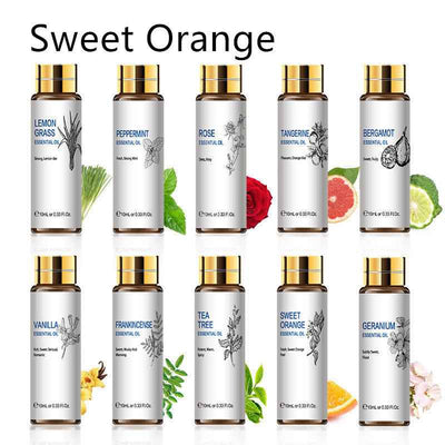 Plant Aromatherapy Essential Oil 10ml Lavender Rose Tea Tree