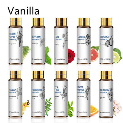 Plant Aromatherapy Essential Oil 10ml Lavender Rose Tea Tree