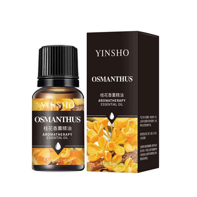 Water-soluble Soothing Sleep Aromatherapy Oil Rose Jasmine Flavor Fragrant Stone Humidifier Special