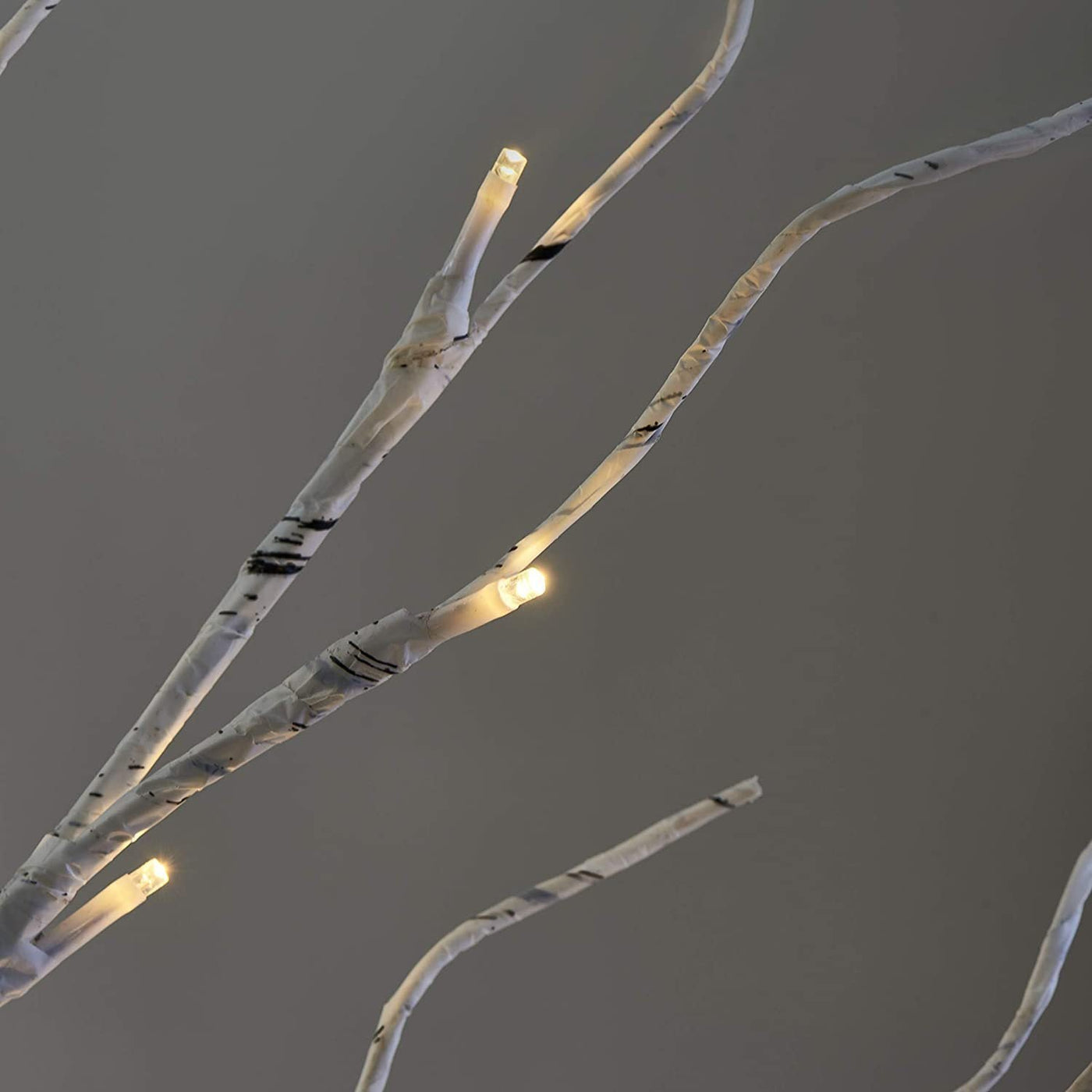 Christmas Simulation Of Birch Tree Lights SHOPPORA