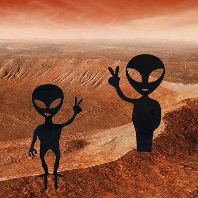 Garden Outdoor Decoration Gifts Gardening Accessories